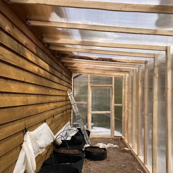 Inside a lean-to greenhouse with a polycarbonate roof over wood rafters